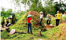 清明祭祖仪式程序，清明节扫墓步骤