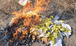 清明烧纸有什么讲究，清明几号可以烧纸