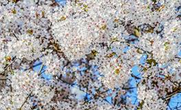 窗外煞是什么，窗外煞怎样化解