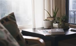 庭院养花风水禁忌