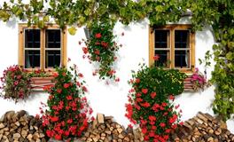 庭院围墙风水有什么讲究