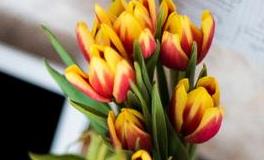 李云天2019年5月十二生肖运势盘点