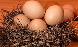 已婚女人梦见捡鸡蛋