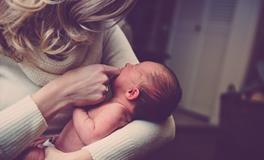 怀孕总是梦到动物