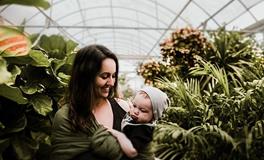 怀孕梦到别人杀鱼