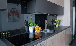 家里的盆栽如何摆放位置最好