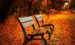 梦见爱人离开自己是什么意思