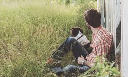 梦见老公被狗咬是什么意思