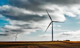 做梦梦见刮大风