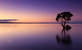 梦见出现潮涨潮落