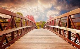 梦见自己在桥上被抢劫