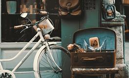 梦见店面转租成功