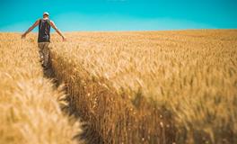 梦见稻谷草堆倒了