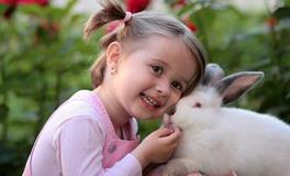 梦见兔子咬自己好不好