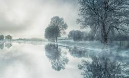 梦见下雪白茫茫的一片暗示着什么