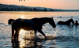 末伏日是什么意思，末伏吃什么好