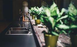 家里阴气重哪几种花不能养