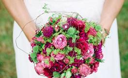 苏珊米勒今日运势2019年8月14日