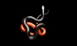 梦见蛇咬自己的手是什么含义