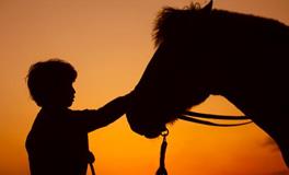 紫微14主星一周运势（10.21-10.27）