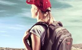 这些生肖马不停蹄地追赶，但还是不如他人