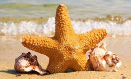 12生肖中那些永远长不大的孩子