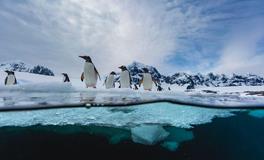 苏珊米勒每日运势2019年12月26日