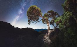 董易林2020年1月6日生肖运势