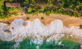 杨清华一周生肖运势（1.6-1.12）