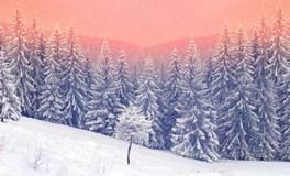 紫微14主星一周运势（1.13-1.19）