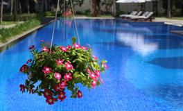 最有气质的三个星座女，一颦一笑，风情万种