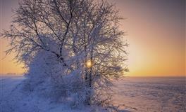 2020下半年，12星座如何重头开始？