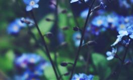 婚前婚后，反差极大的三个星座