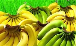 性格最好，最容易遇贵人的星座