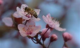 不信天不信命，只信自己的3大星座