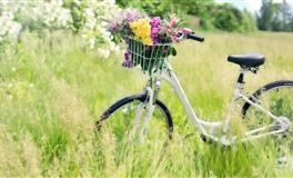 谁都不得罪，为人处世老油条的星座