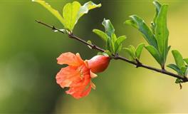 为人强势，永不服输的三大星座，生来隐忍吃苦，人生注定不平凡