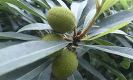 心理测试：四双婚鞋，选一双，测你是不是个旺夫的女人？