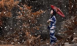 如何利用水逆启动期的天秤新月，12星座许愿领域介绍