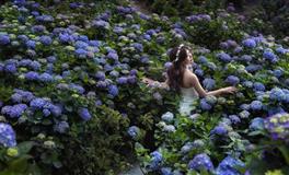 对婚姻有要求，会追求自己的幸福，不愿草率的四个星座