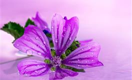 不做陪衬，这三个星座灵魂力量强大，一旦发威，注定平凡不下去