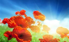 外表高冷，一旦接触后，就让人离不开的三个星座