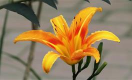 心有灵犀的星座情侣，遇到爱遇到性都不稀奇，罕见的是遇到了解