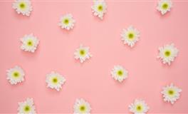 即使伤痕累累，也会奋不顾身求复合的三大星座