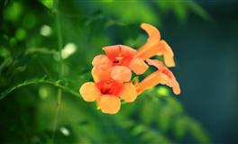 萝卜青菜各有所爱，12星座男最介意女友的什么？