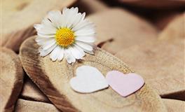 苏珊米勒每日运势2020年9月1日