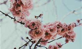 天蝎座对感情为何如此执拗？