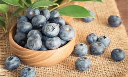 对人不设防，单纯善良容易被骗的星座