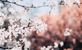 心系过往，有了新欢，却难舍旧爱，最花心的三大星座，有你吗？