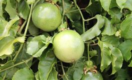 脱单困难户，容易单身很久的三大星座，尤其第3名，高冷难接近